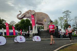 BIB: 
                            <button type="button" onclick="openModal(26528608)" class="btn btn-primary btn-sm float-right btn-popup" data-toggle="modal" data-target=".modal-high-quality">
                        <i class="fas fa-shopping-cart"></i> Add to Cart
                    </button>
                                            <button type="button" onclick="isThisMe(26528608, true)" class="btn btn-success btn-sm float-right btn-popup btn-isme hidden" data-toggle="tooltip" data-placement="bottom" title="นี่คือรูปของคุณใช่ไหม คลิกที่นี่เพื่อเอาเข้าอัลบั้ม">
                        <i class="fas fa-plus"></i> Add to album
                    </button>
                    <button type="button" onclick="isThisMe(26528608, false)" class="btn btn-warning btn-sm float-right btn-popup btn-isnotme hidden">
                        <i class="fas fa-ban"></i> Remove from album
                    </button>